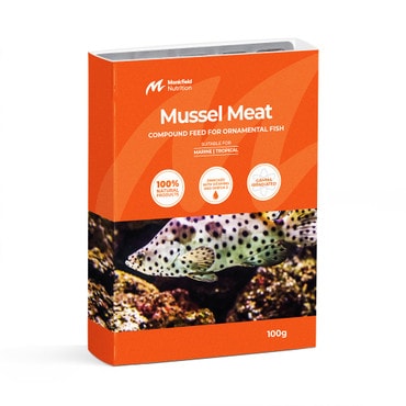 Mussel Meat Frozen Fish Food